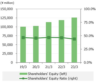 Shareholders' Equity/Shareholders' Equity Ratio